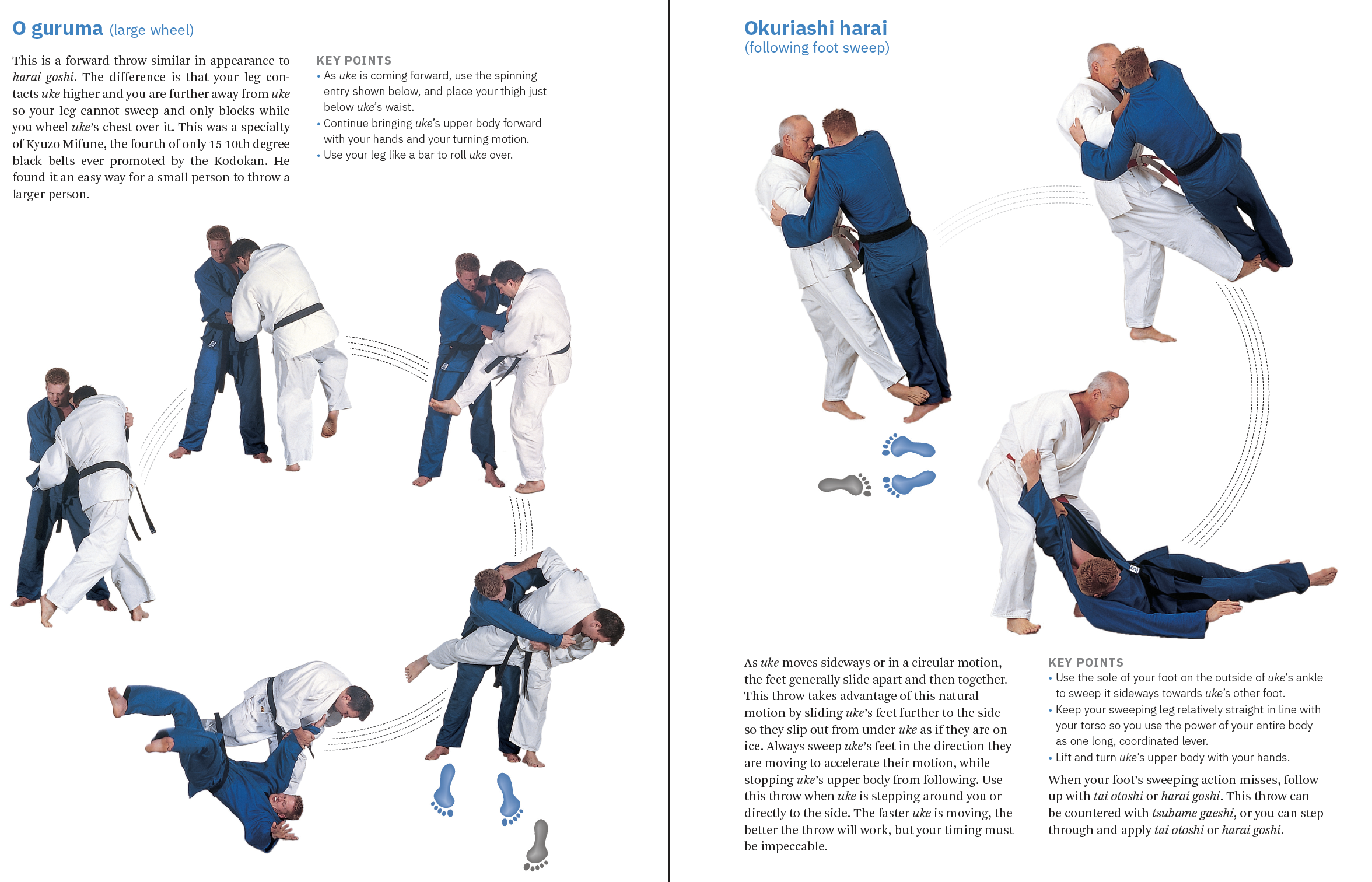 Judo Unleashed! Cover Image